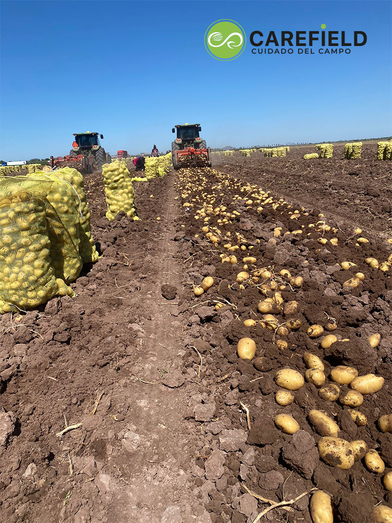 Objeto inteligente vectorial copia 15