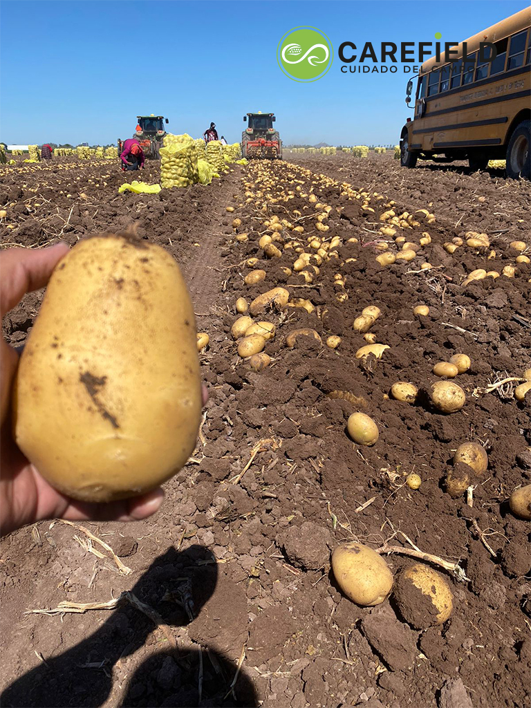 Objeto inteligente vectorial copia 16