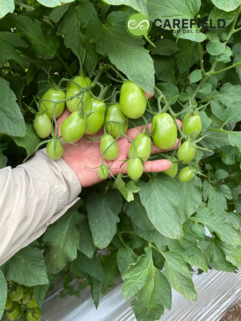 Objeto inteligente vectorial copia 25