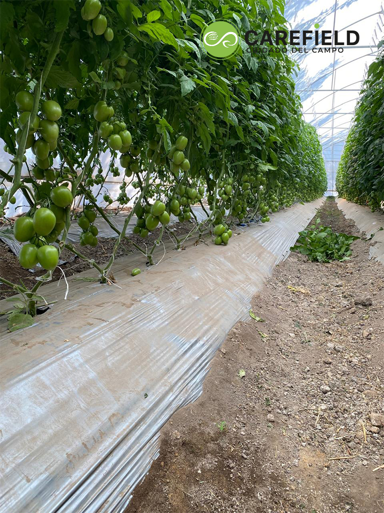 Objeto inteligente vectorial copia 27