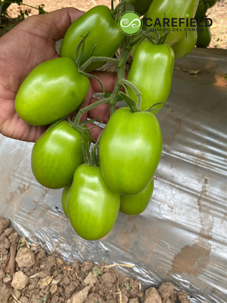 Objeto inteligente vectorial copia 28