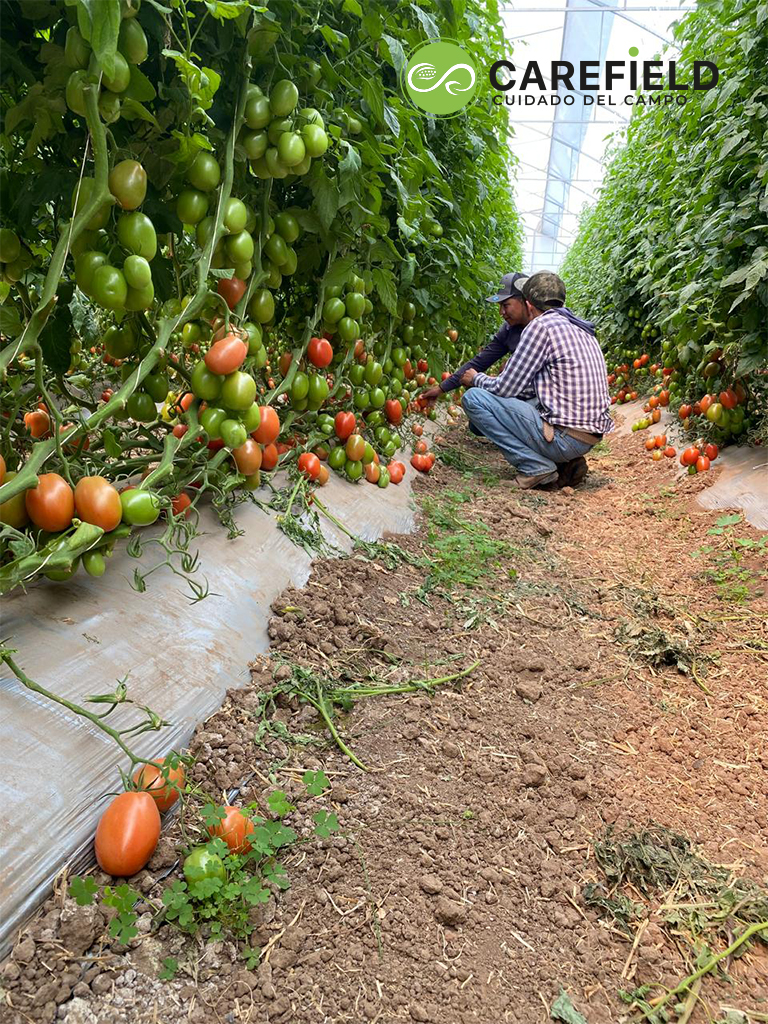 Objeto inteligente vectorial copia 29