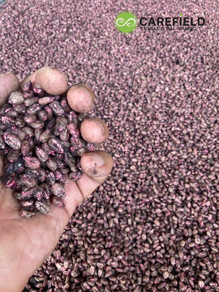 Objeto inteligente vectorial copia 36