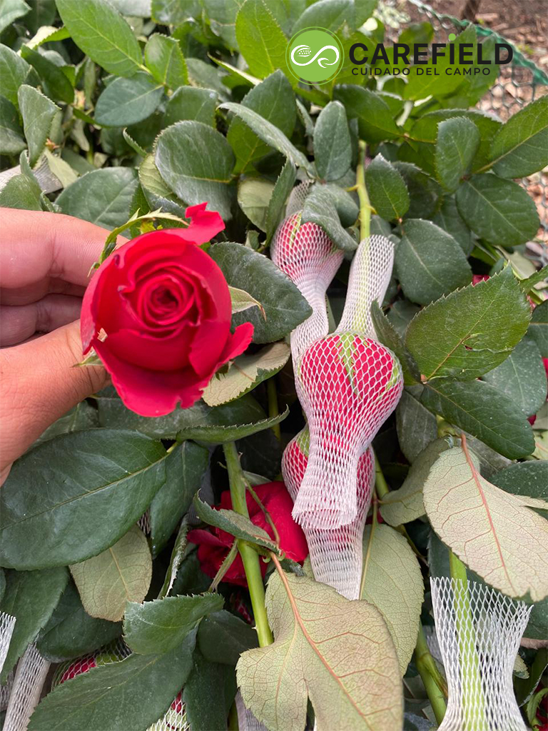 Objeto inteligente vectorial copia 9